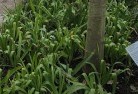 Willowmavinplant-nursery-23.jpg; ?>
